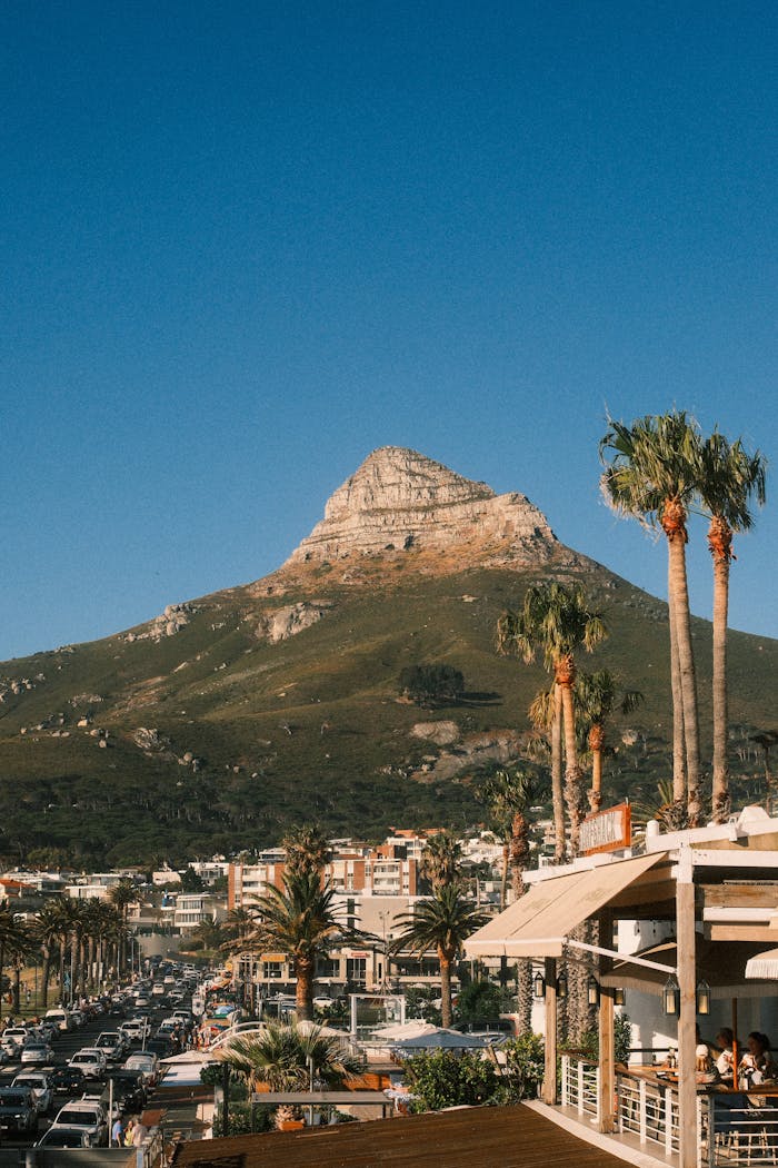 The Art of Drawing Readers In: Your attractive post title goes here Scenic view of Lion's Head mountain with palm trees and cityscape in Cape Town, South Africa.